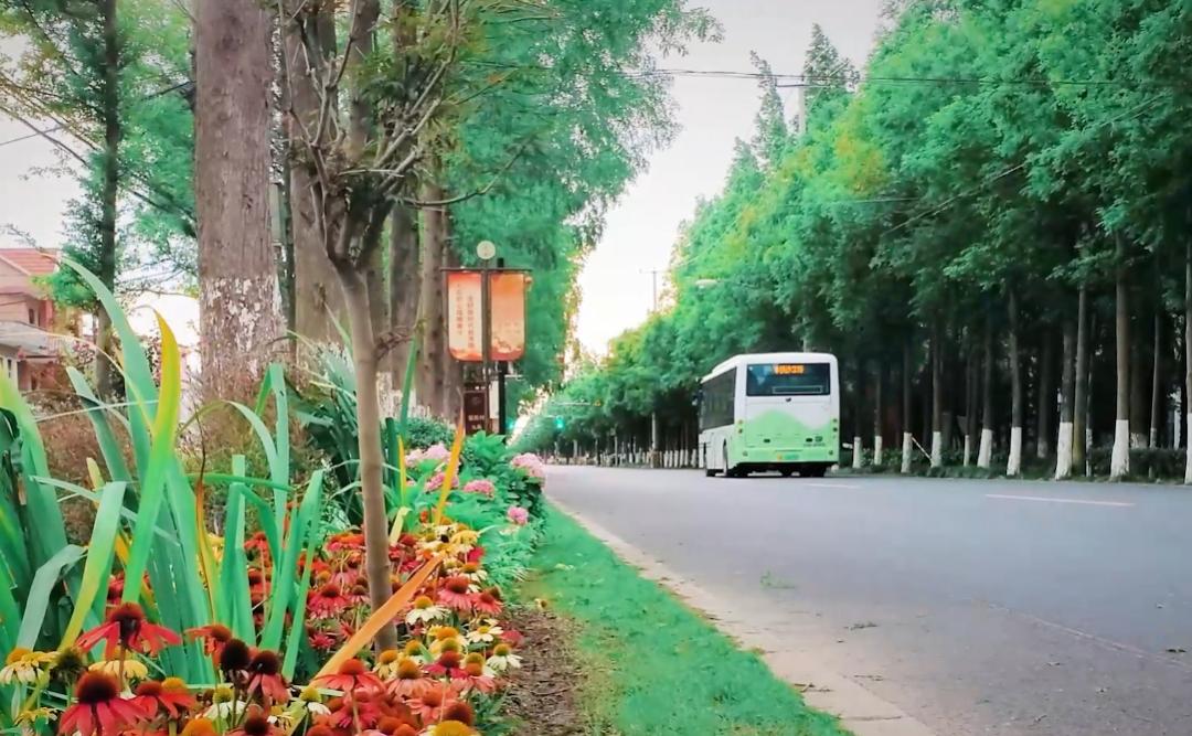 家有儿女最新，自然美景的探索之旅