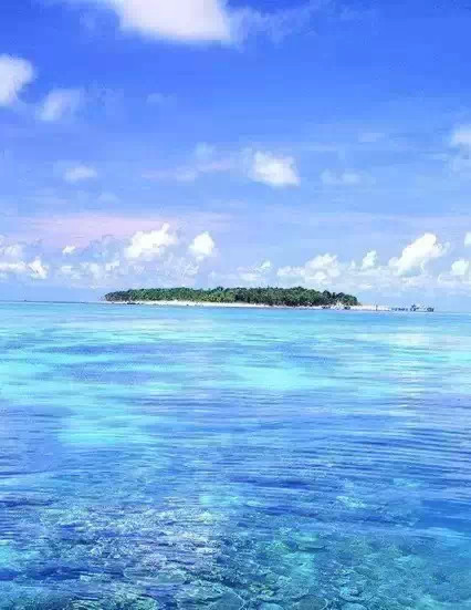 最新婚礼，自然美景中的心灵之旅，探寻宁静与喜悦的浪漫之旅