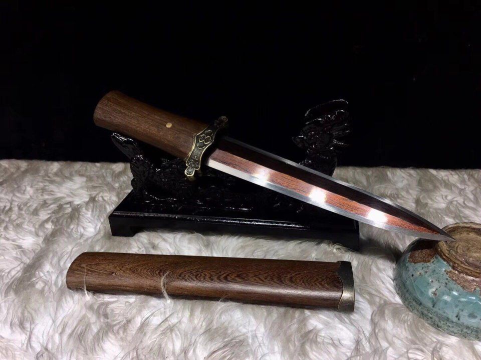 科技赋能的传统捕鱼工具，最新甲鱼枪亮相！