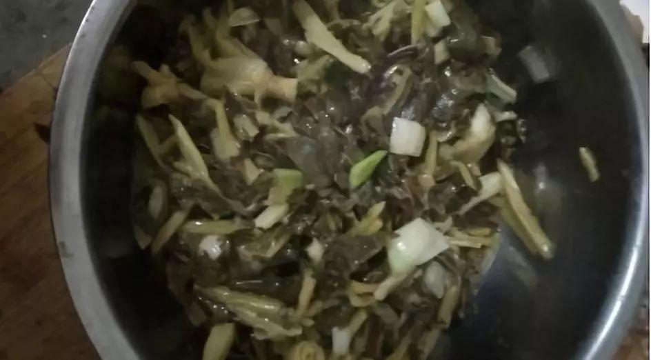 最新面条种类，传统与创新的风味探索之旅