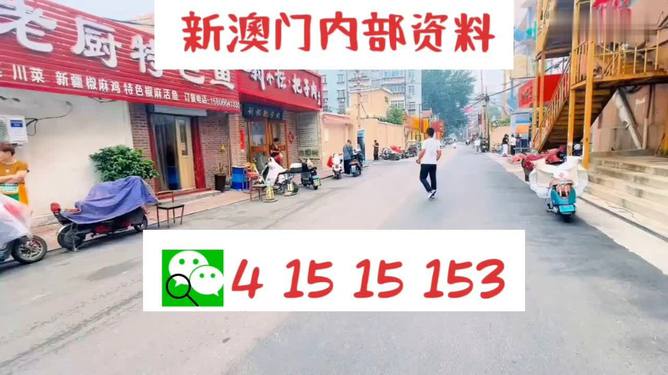 2024澳门天天开好彩大全香港,经济解读新释_增强版95.855