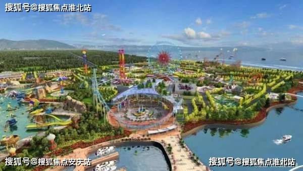 鸡血石最新价格揭秘，一段温馨的寻宝之旅的启示