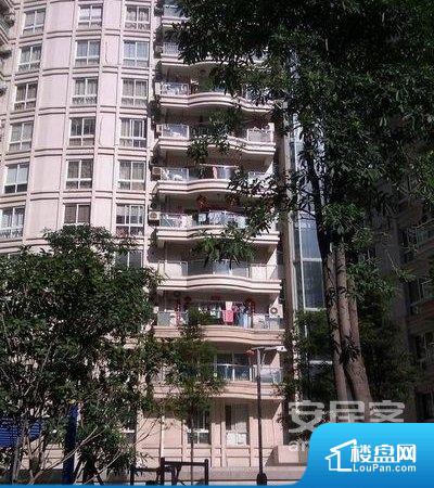 最新二手房挂牌，启程通往自然美景的居住之旅