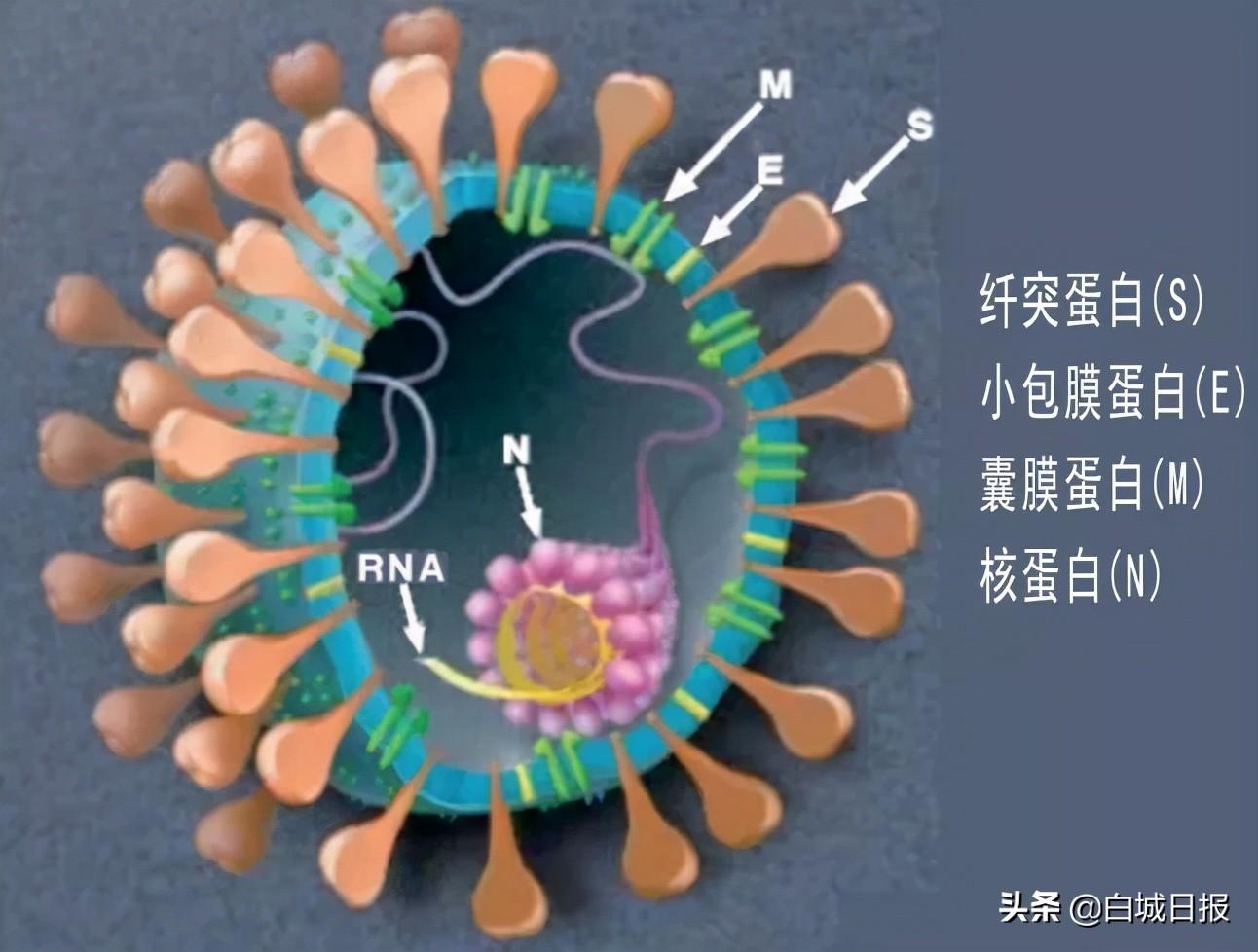 旭阳教育特训学校 第284页
