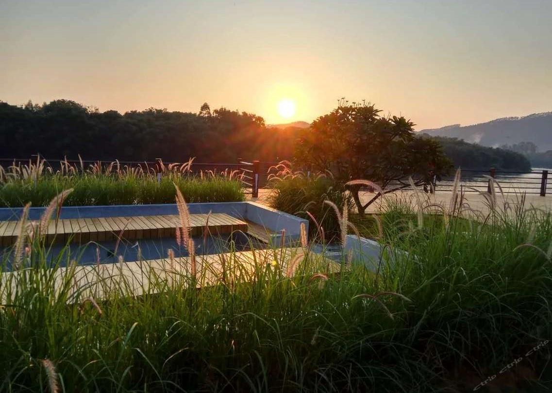 最新建设工程项目管理规范，与自然美景的交融之旅