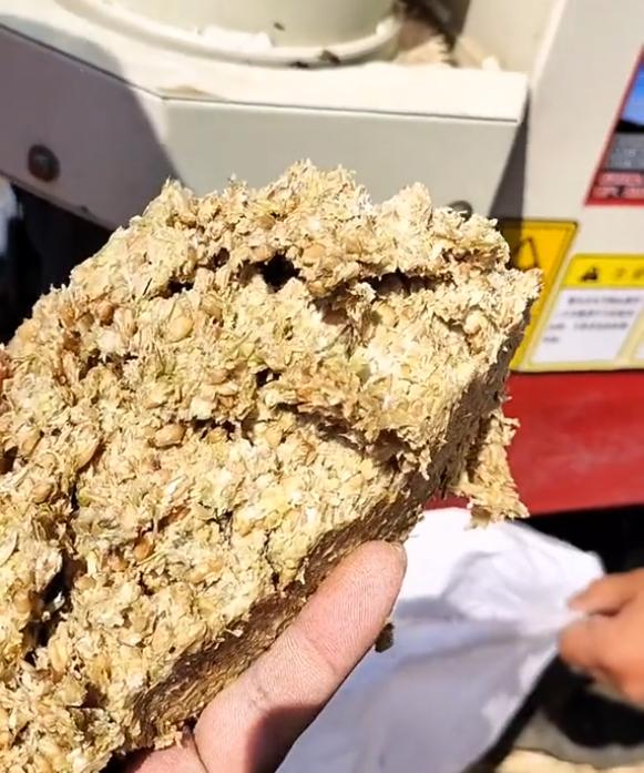 河南客车燃油补贴最新消息