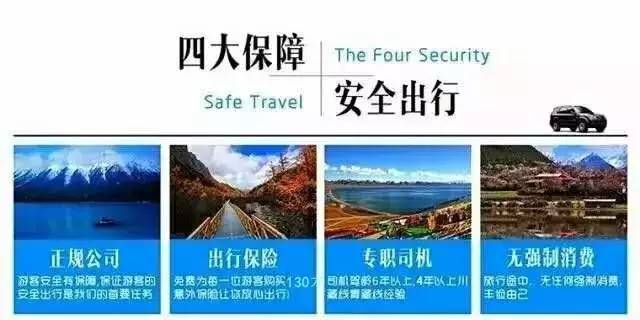 天堂网资源最新版的深度探讨与观点阐述