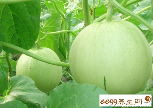 封闭式管理学校 第56页