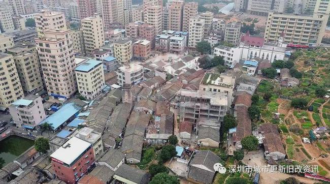 重庆旭阳教育 第33页