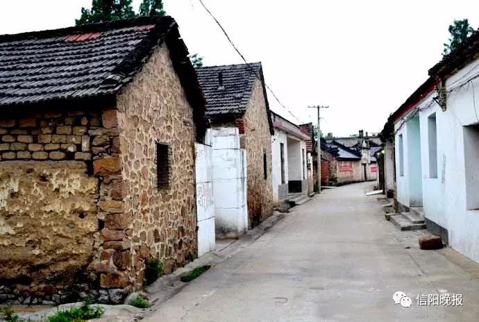信阳高新区最新项目探秘，小巷独特风味揭秘